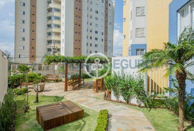Apartamento para aluguel no Centro: 