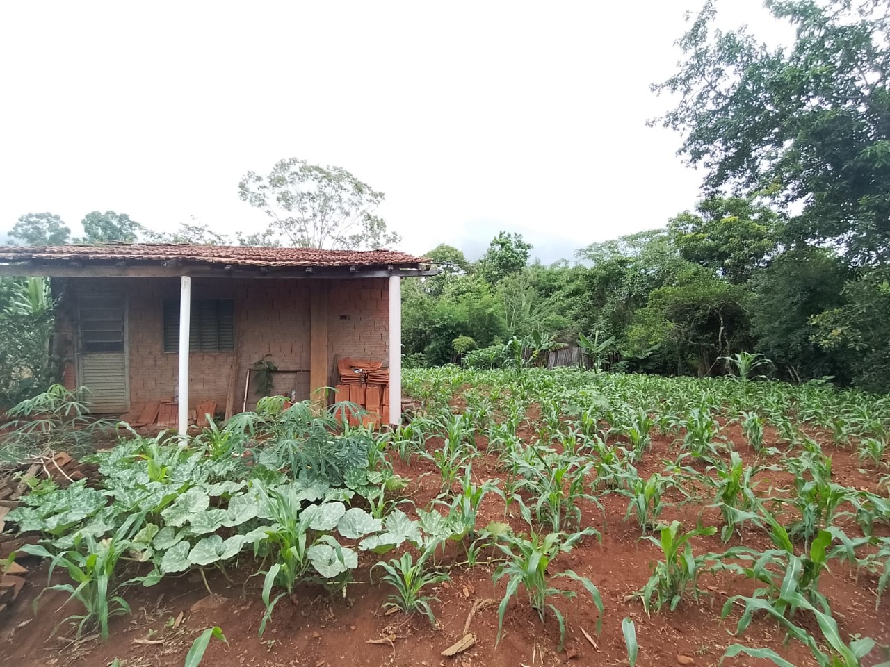 Chácara à venda no Condominio São Francisco : 