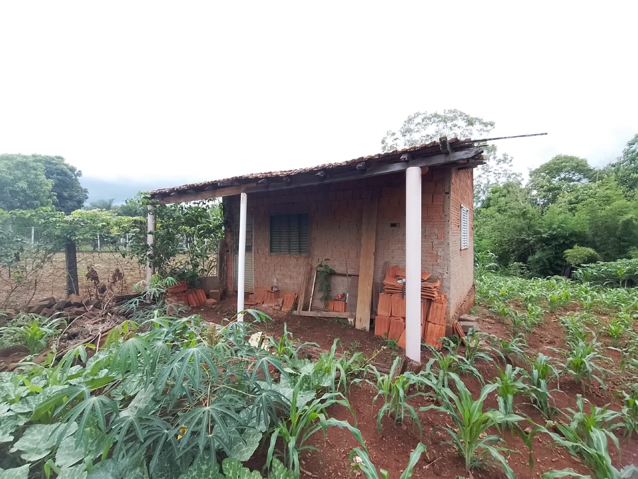 Chácara à venda no Condominio São Francisco : 