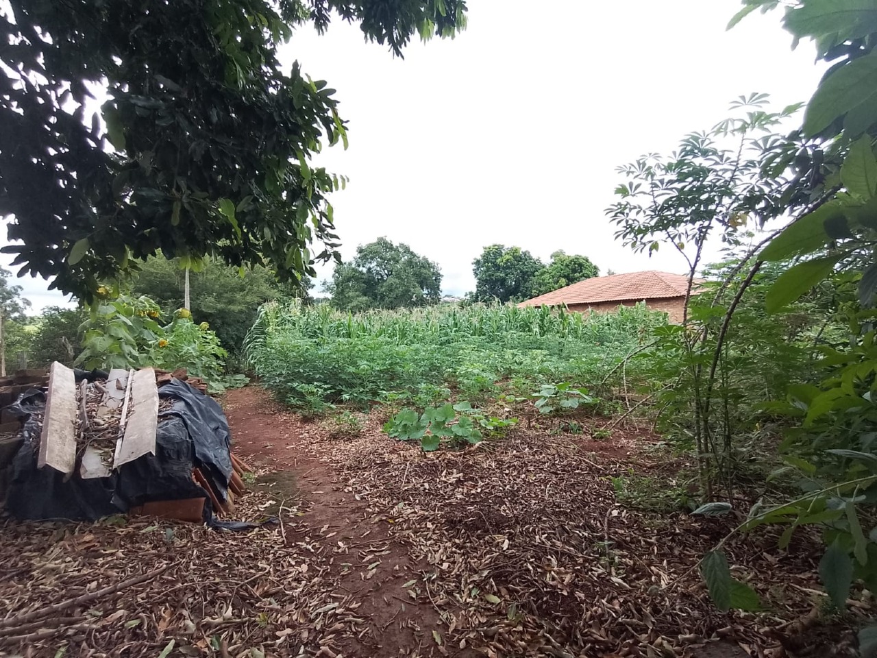 Chácara à venda no Condominio São Francisco : 