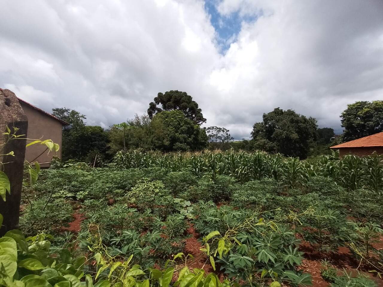 Chácara à venda no Condominio São Francisco : 