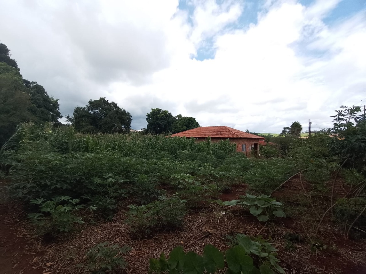 Chácara à venda no Condominio São Francisco : 