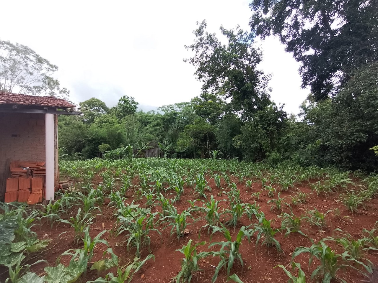 Chácara à venda no Condominio São Francisco : 