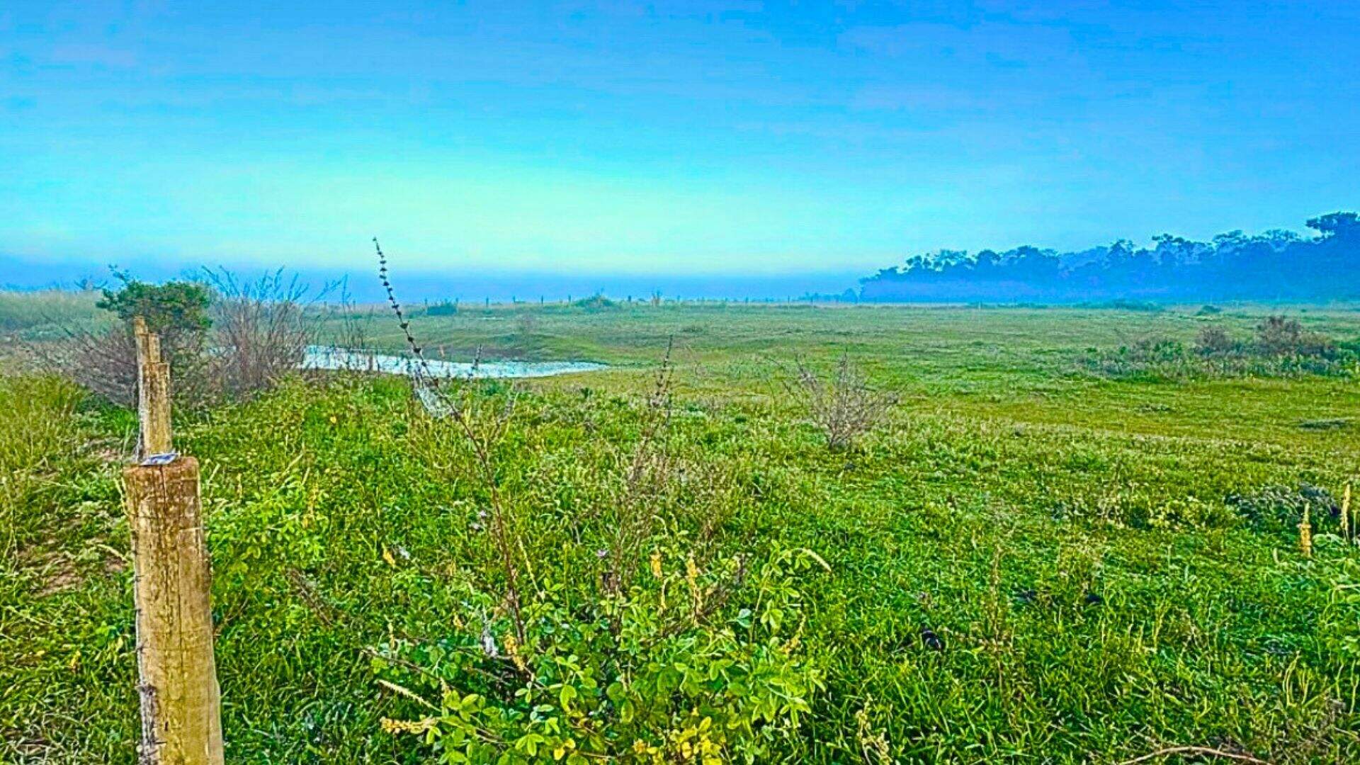Área à venda no Pontal do Ipiranga: 
