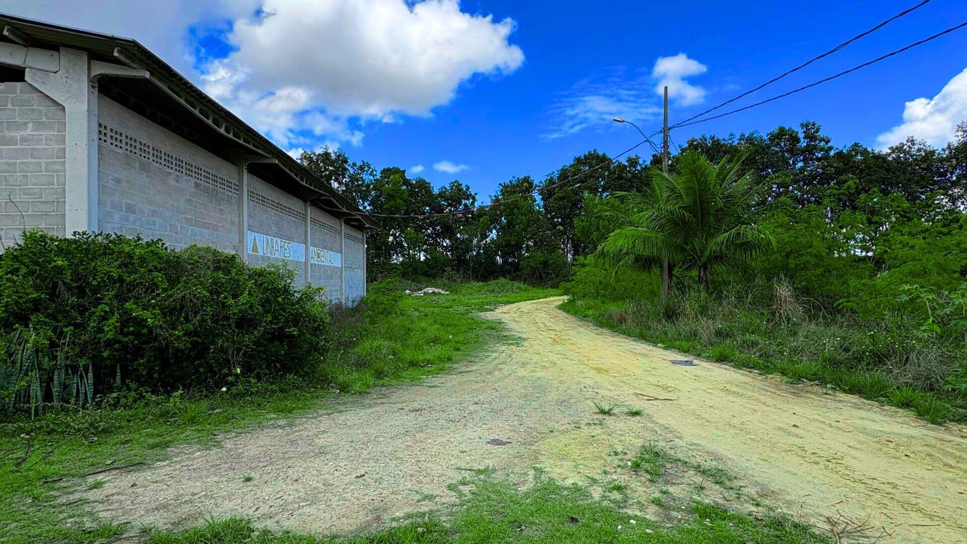 Galpão para aluguel no São José: 
