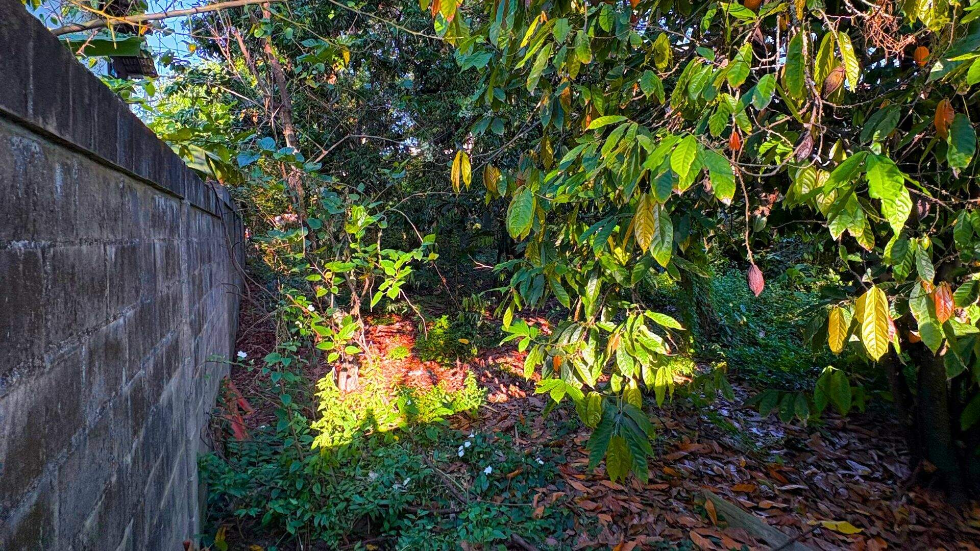 Área à venda no Araçá: 