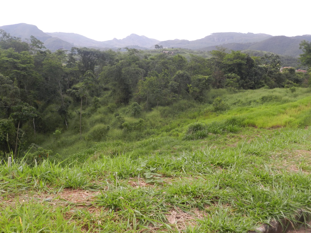 Lote à venda no Cidade Nova: 