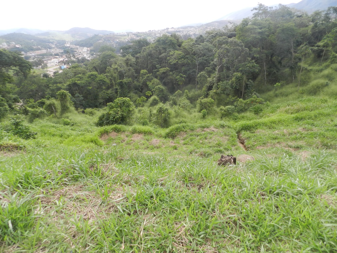 Lote à venda no Cidade Nova: 