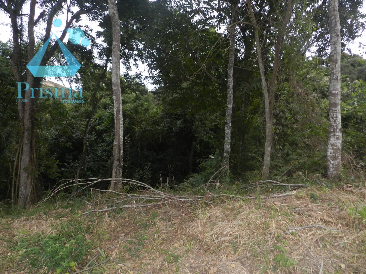 Lote à venda no Capim Cheiroso: 