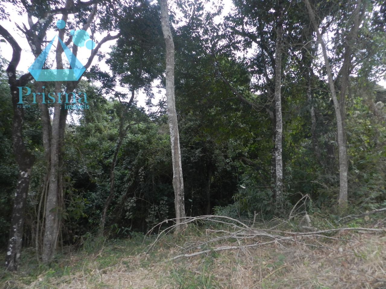 Lote à venda no Capim Cheiroso: 