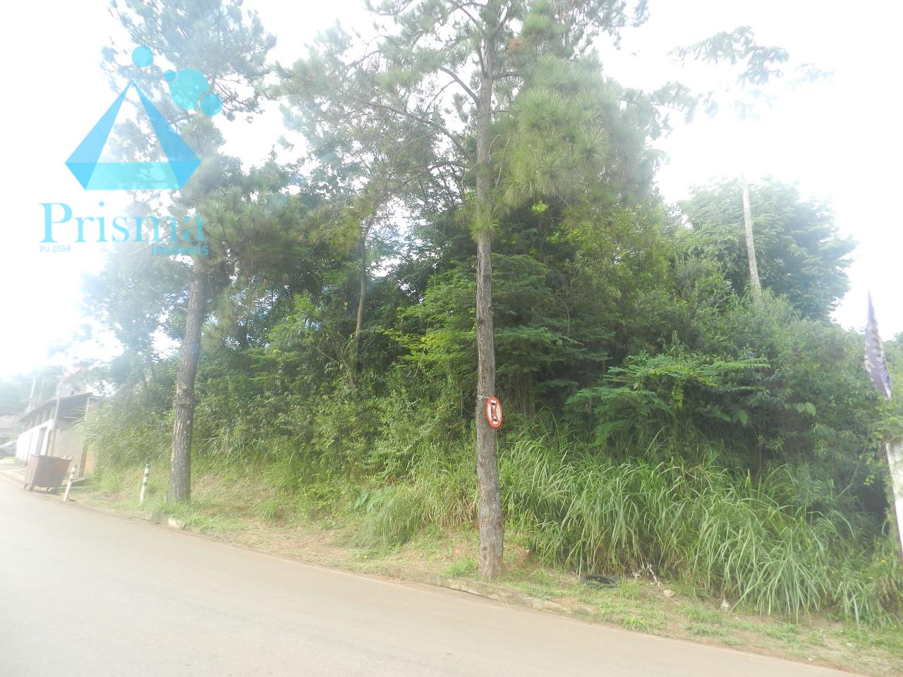 Lote à venda no Capim Cheiroso: 