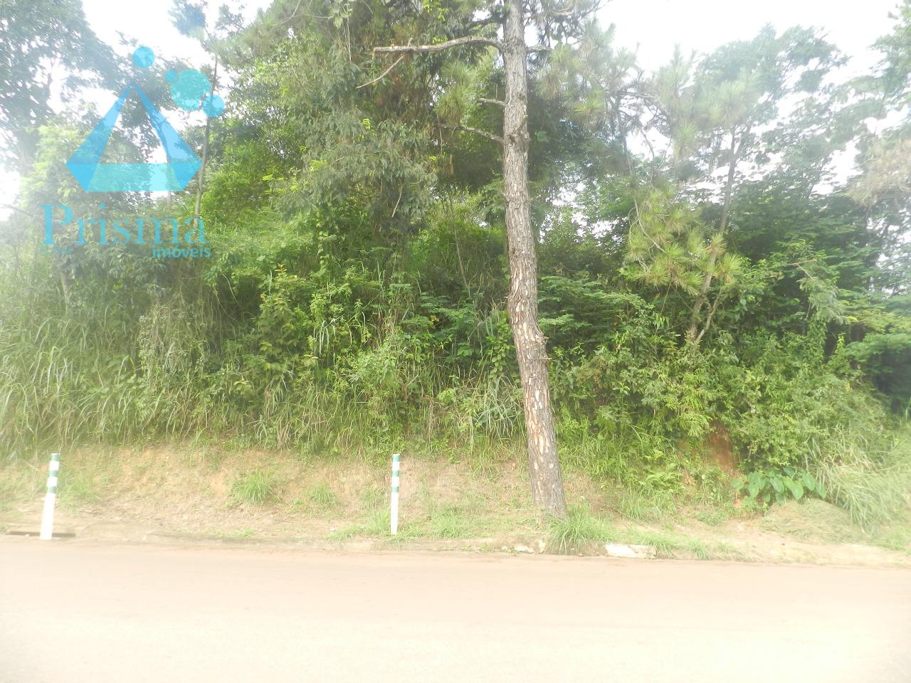 Lote à venda no Capim Cheiroso: 