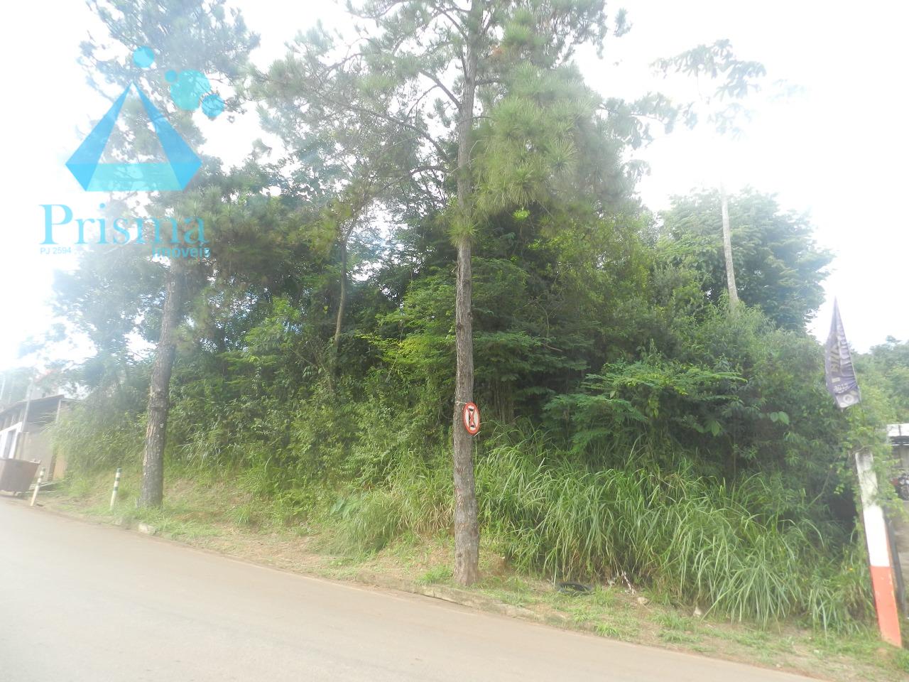 Lote à venda no Capim Cheiroso: 