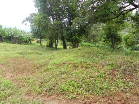 Lote/Área à venda no Capim Cheiroso: 