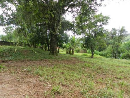 Lote/Área à venda no Capim Cheiroso: 