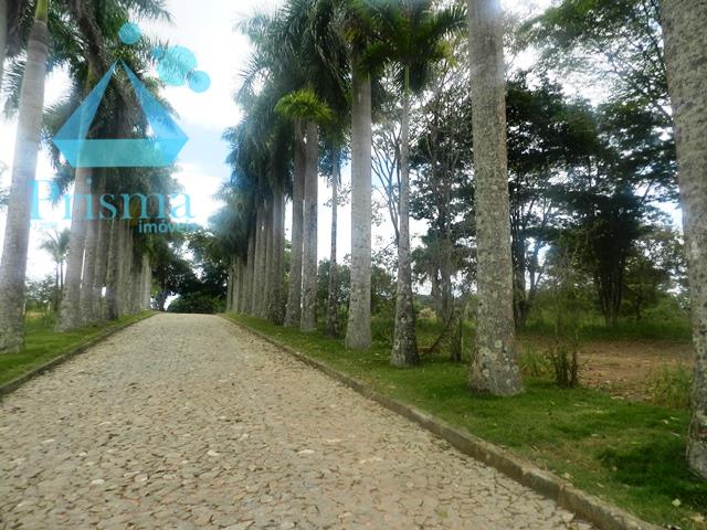 Lote à venda no São Francisco de Assis: 