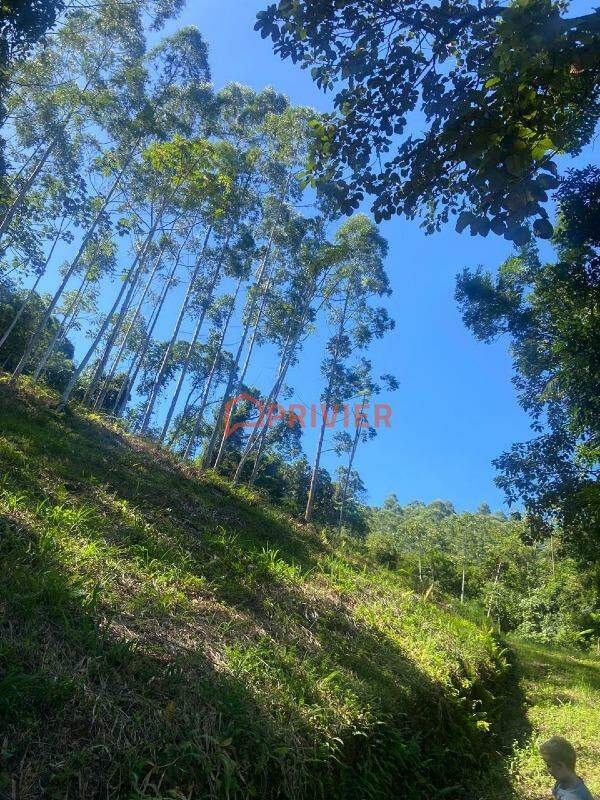 Lote/Terreno no bairro Moura, em Canelinha | Eu Corretor