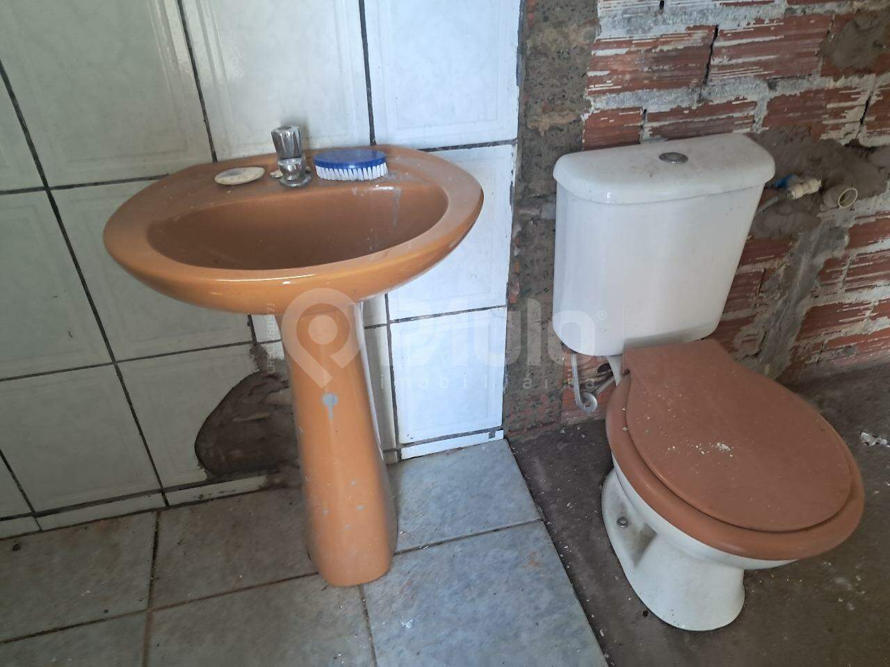 Barracão / Galpão para aluguel no Paulicéia: 