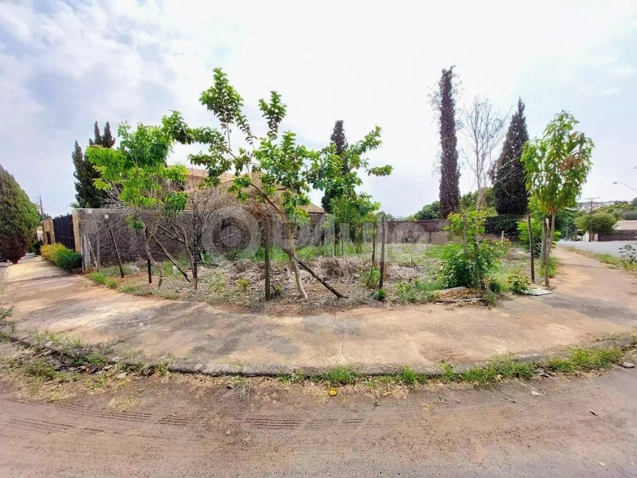 Terreno / Lotes à venda no Parque Santa Cecília: 