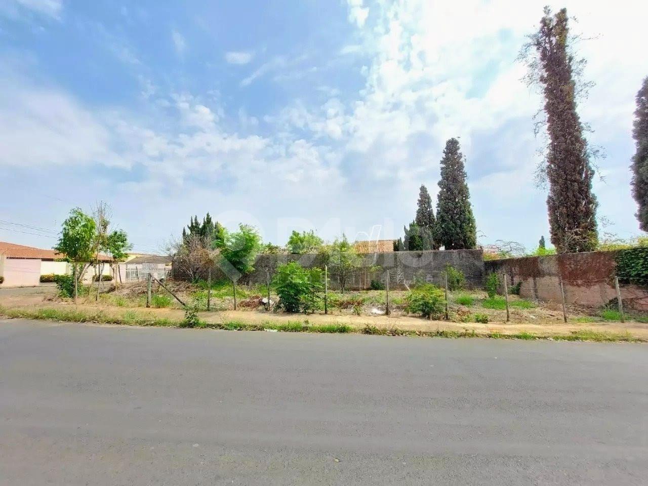 Terreno / Lotes à venda no Parque Santa Cecília: 