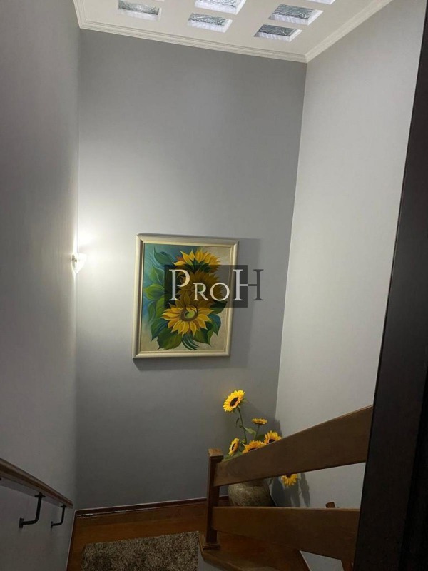 Casa, 3 quartos, 272 m² - Foto 17