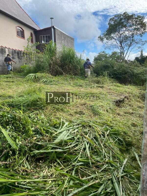 Terreno à venda, 382m² - Foto 3