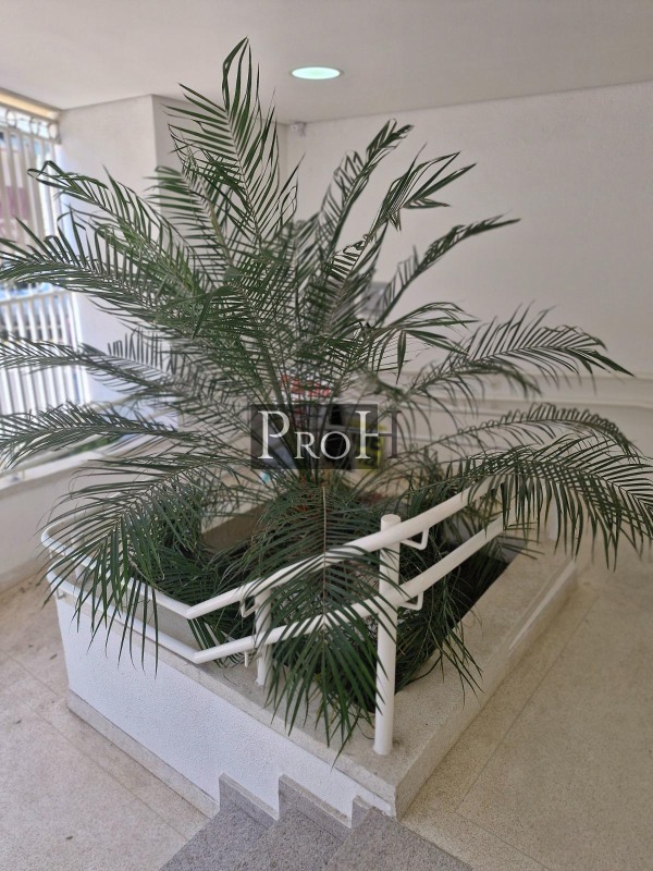 Apartamento, 3 quartos, 80 m² - Foto 28