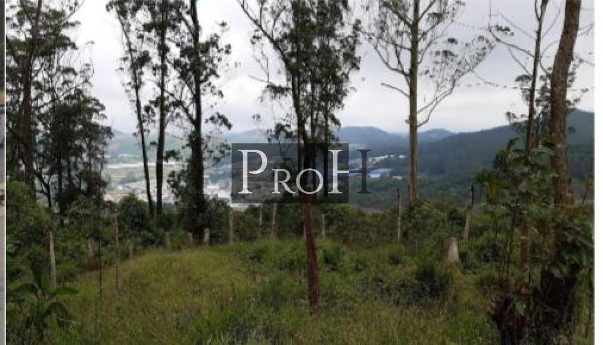 Terreno, 47037 m² - Foto 5