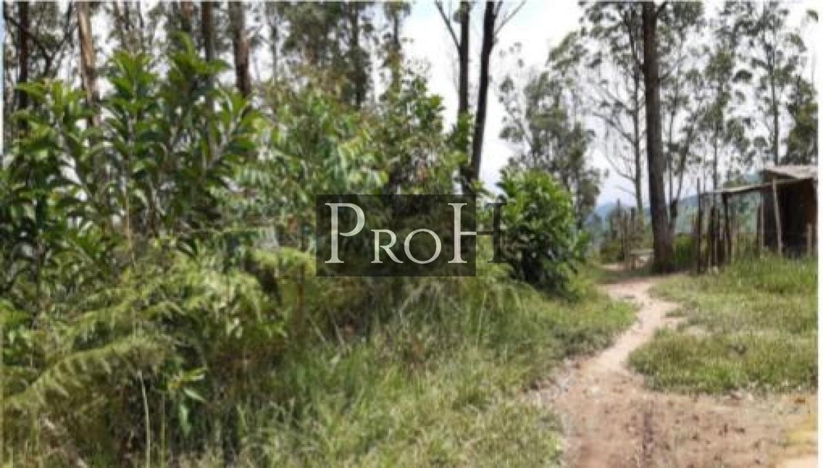 Terreno, 47037 m² - Foto 2