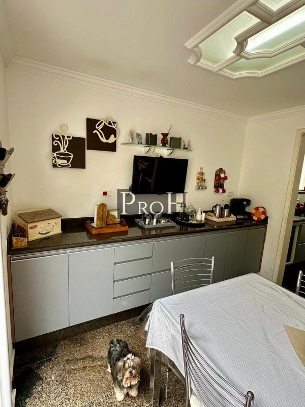 Casa, 4 quartos, 350 m² - Foto 7