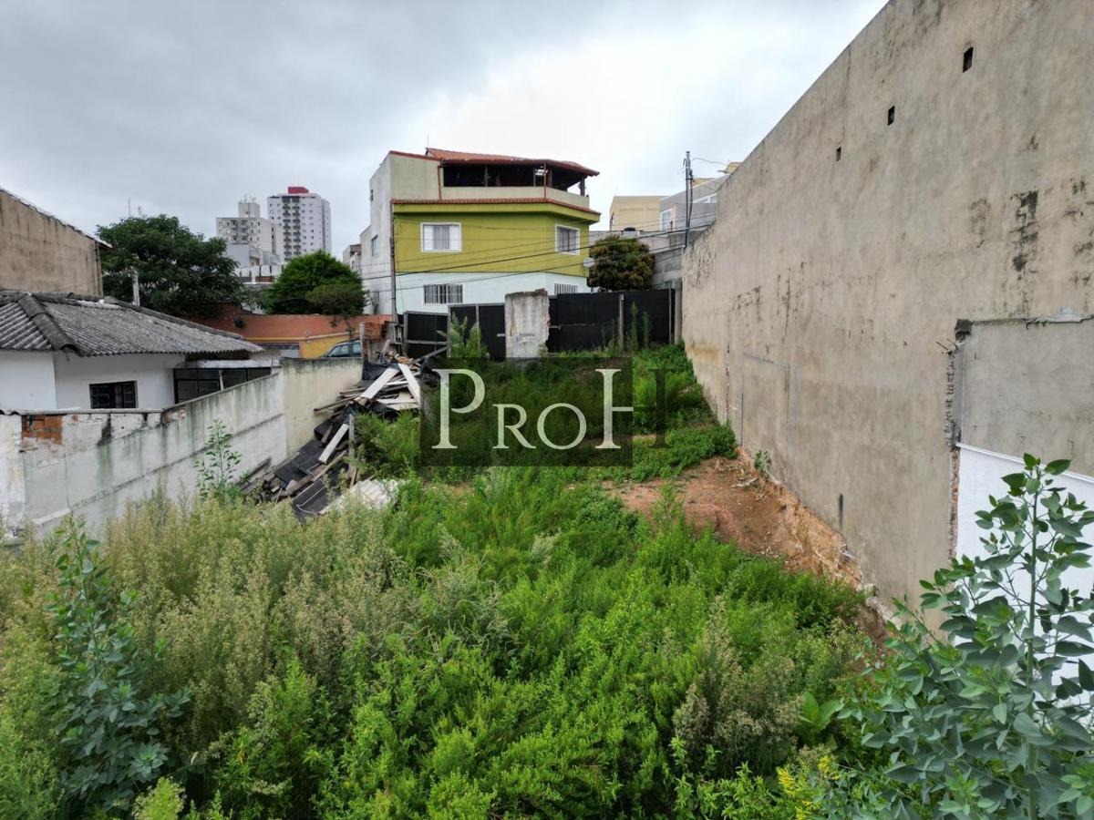 Terreno, 300 m² - Foto 6