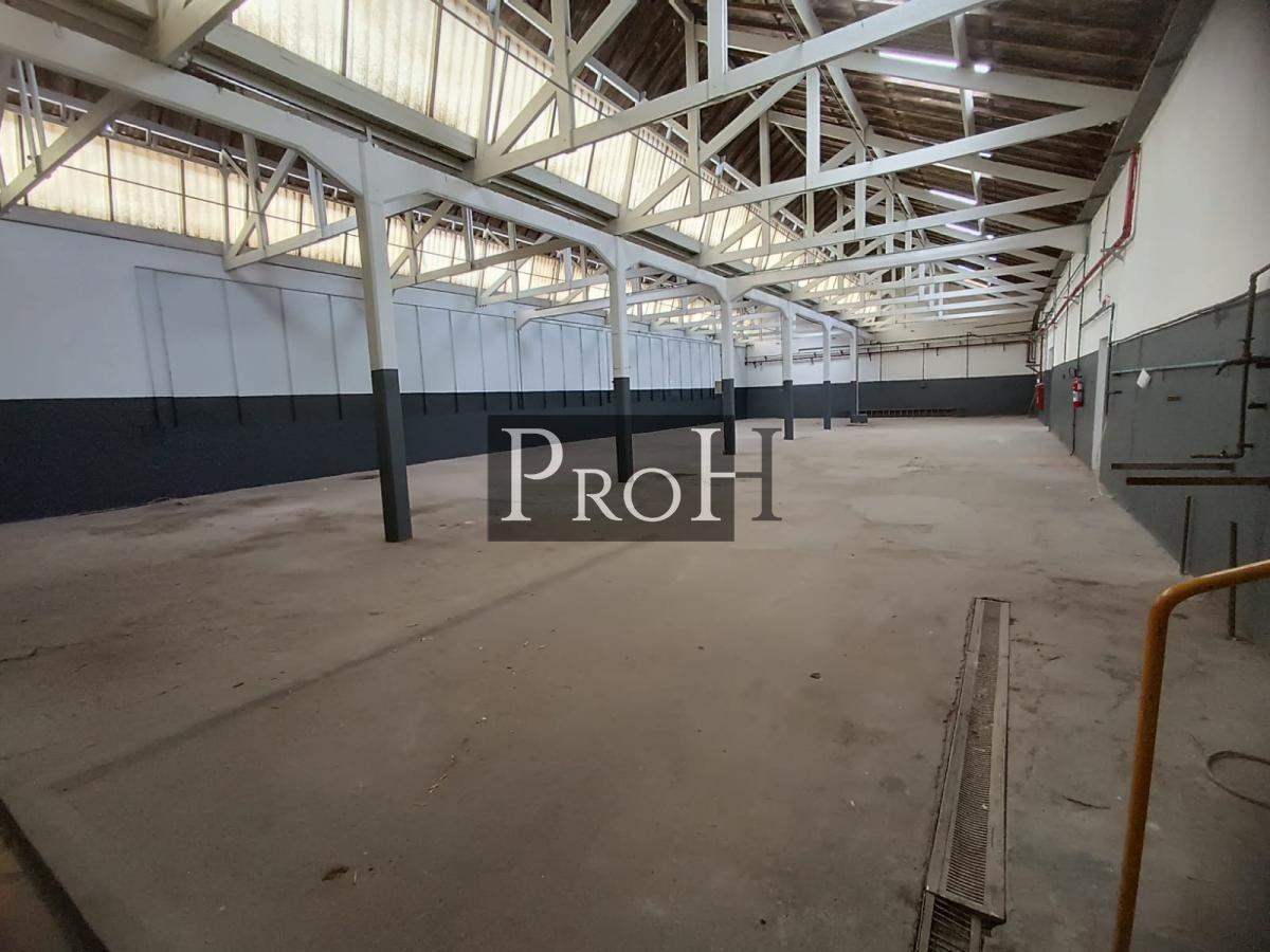 Depósito-Galpão, 4001 m² - Foto 6