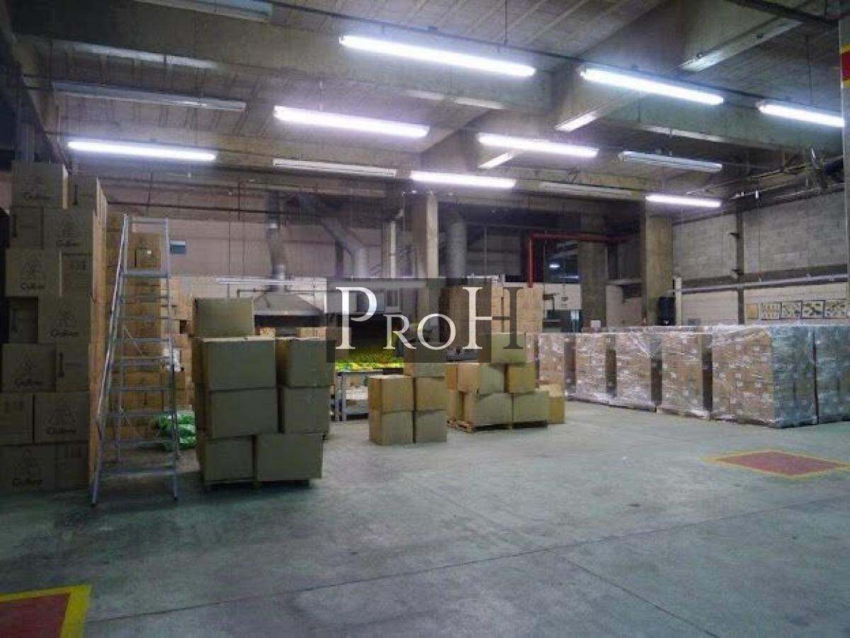 Prédio Inteiro, 8701 m² - Foto 11