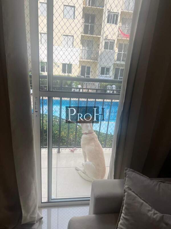 Apartamento, 2 quartos, 47 m² - Foto 5