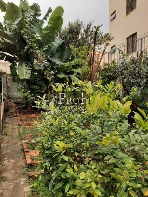Terreno, 400 m² - Foto 3