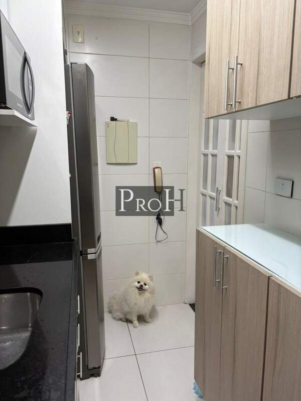 Apartamento, 2 quartos, 49 m² - Foto 14