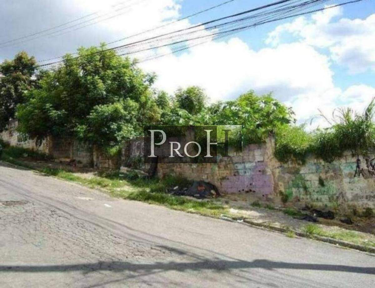 Terreno à venda, 6250m² - Foto 3