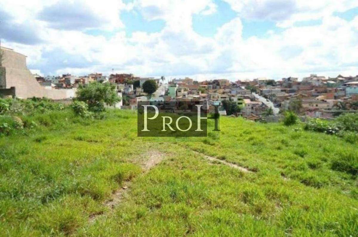 Terreno à venda, 6250m² - Foto 6