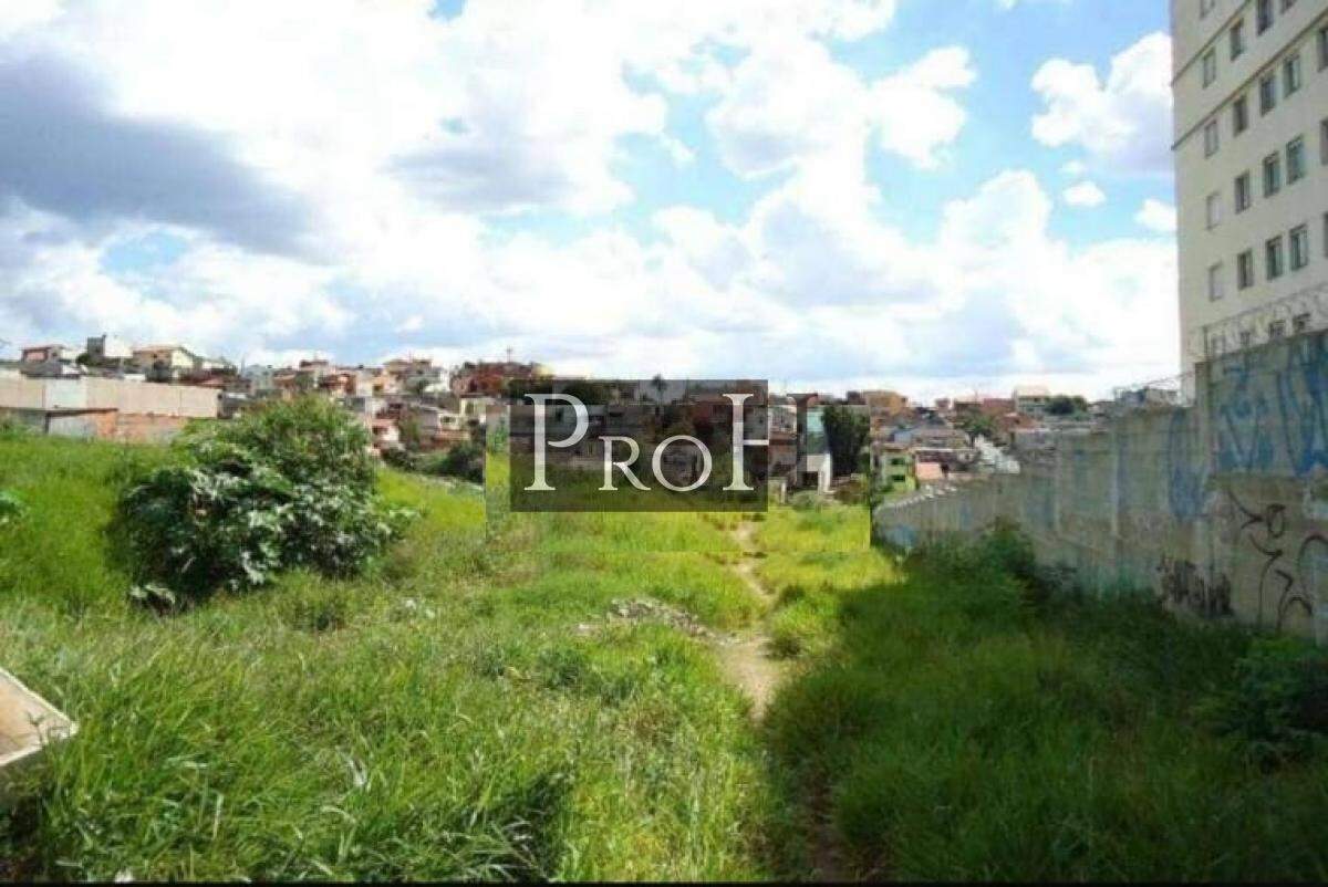 Terreno à venda, 6250m² - Foto 8