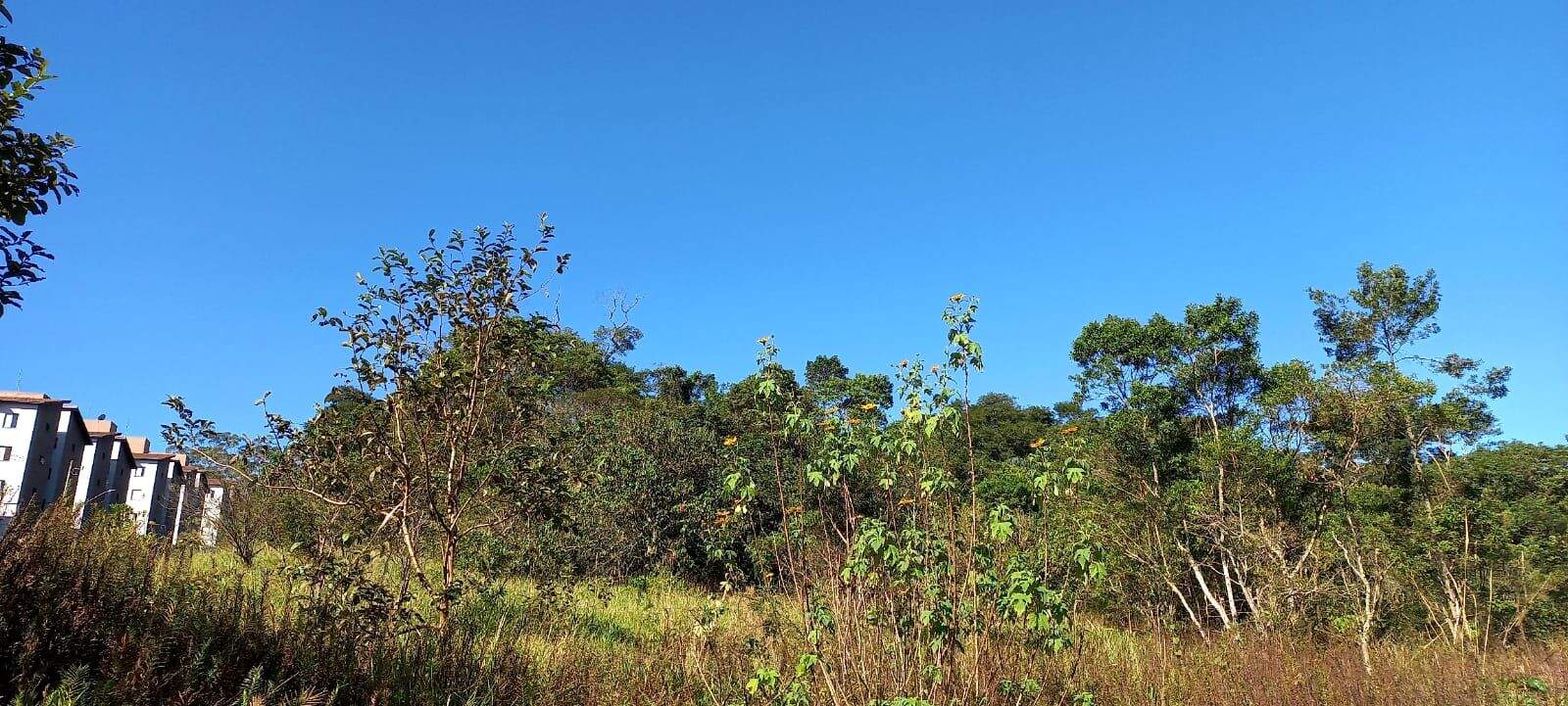 Terreno à venda no Parque São Vicente: 