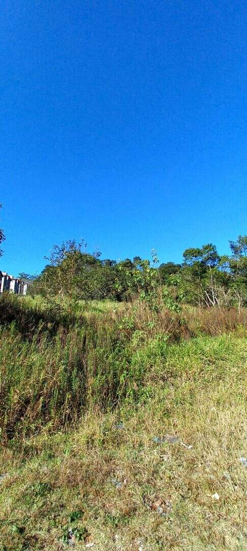 Terreno à venda no Parque São Vicente: 