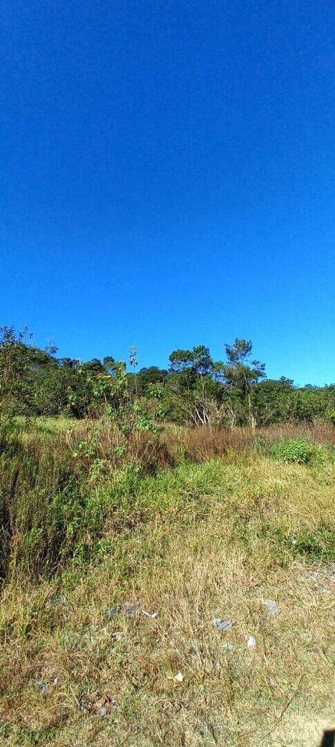 Terreno à venda no Parque São Vicente: 
