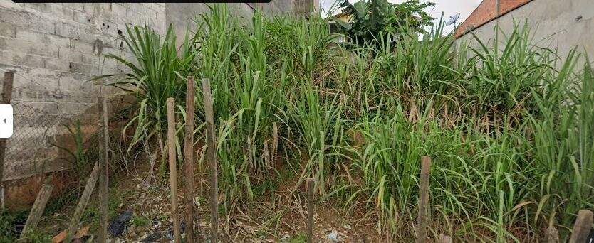 Terreno à venda no Vila Ana: 