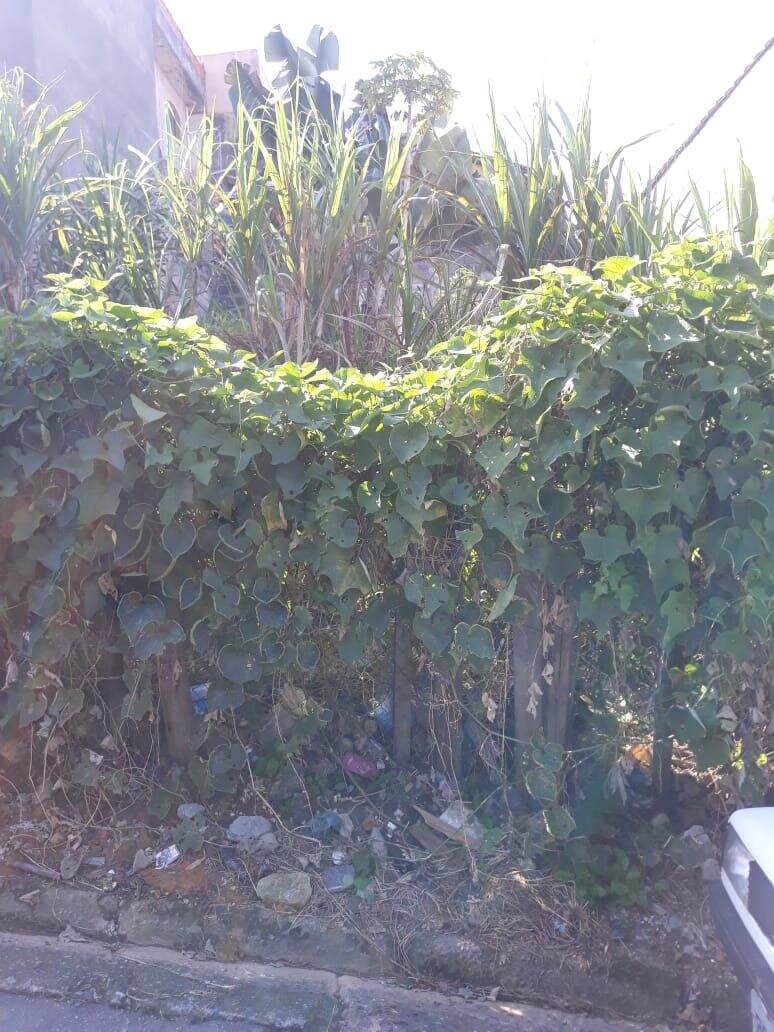 Terreno à venda no Vila Ana: 