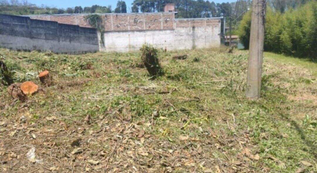 Terreno à venda no Sítio do Francês: 