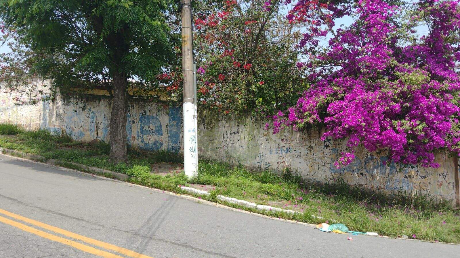 Terreno à venda no Jardim Zaira: 