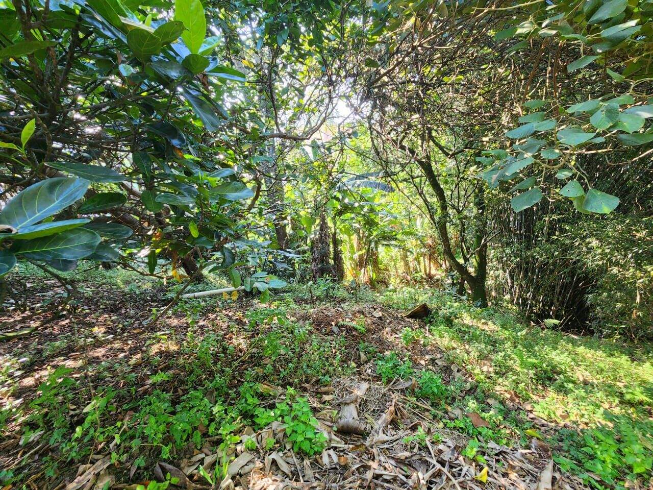 Terreno à venda no Vila Bocaina: 
