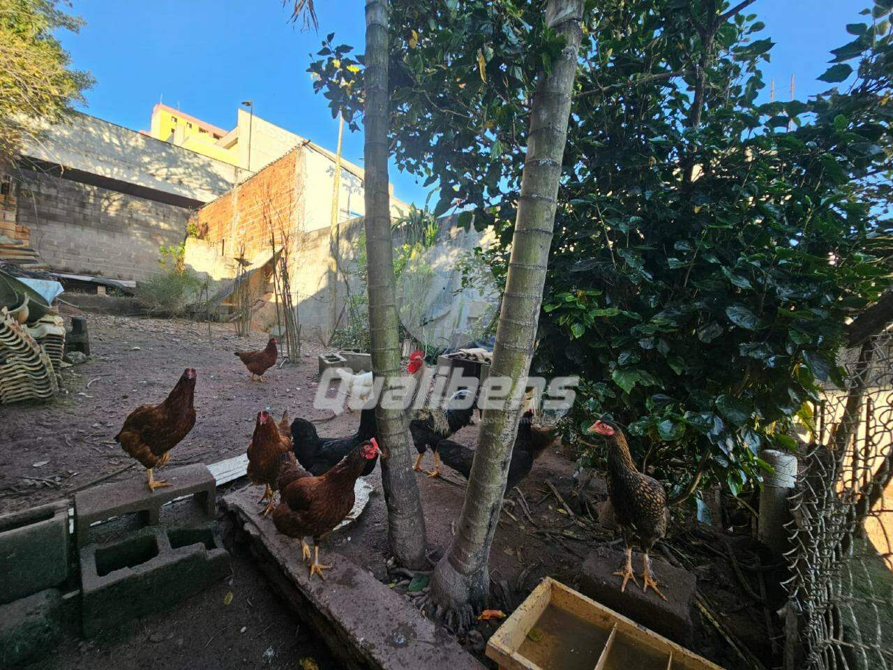 Terreno à venda no Vila Falchi: 