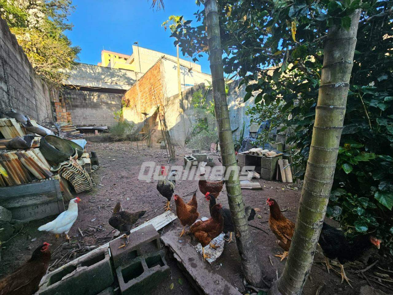 Terreno à venda no Vila Falchi: 
