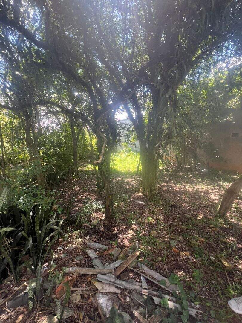 Terreno à venda no Vila Bocaina: 